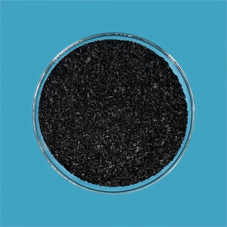 Coconut Shell Activated Carbon