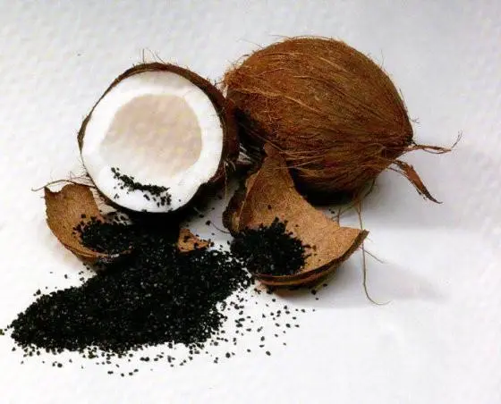 Subministrament de fàbrica de carbó activat Closca de coco granular Carbó activat de grau alimentari de carbó
